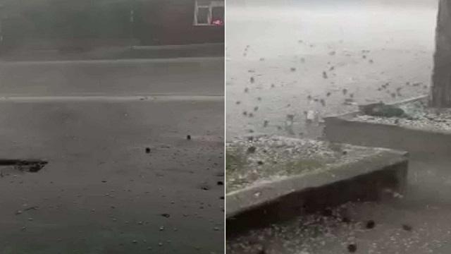 (Video) “Water rushed into the pharmacy and shops” – terrible rain and hail in Kakheti, what footage was released from the scene?