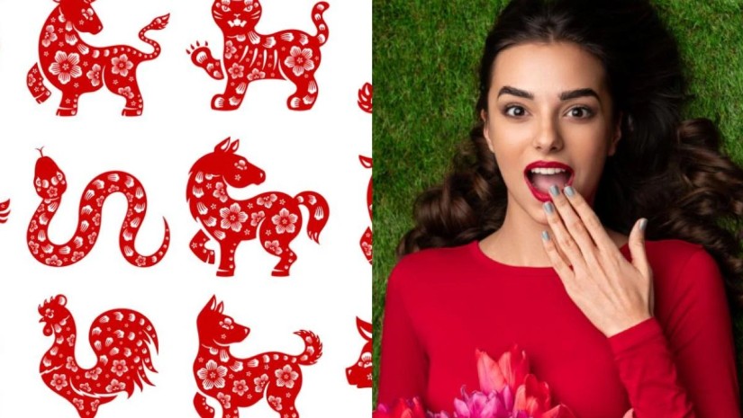 According to the Chinese zodiac, the lives of 5 signs will change dramatically from June 9th