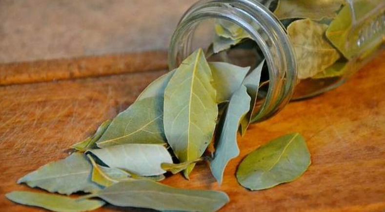 How to beat back and waist pain with the help of bay leaves