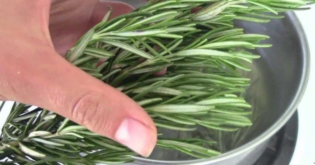 Scientists have discovered an herb that fights dementia and improves memory by 75%!
